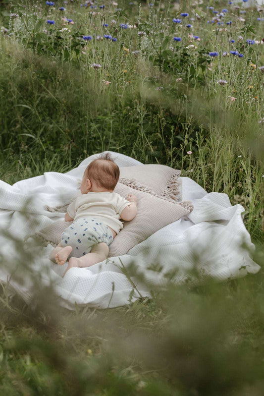 Wollwindel „Blaubeerchen“